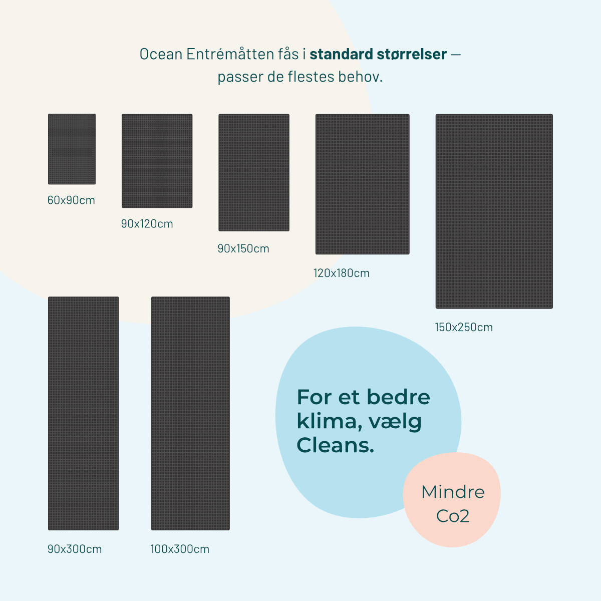 Cleans Ocean Entrance Mat